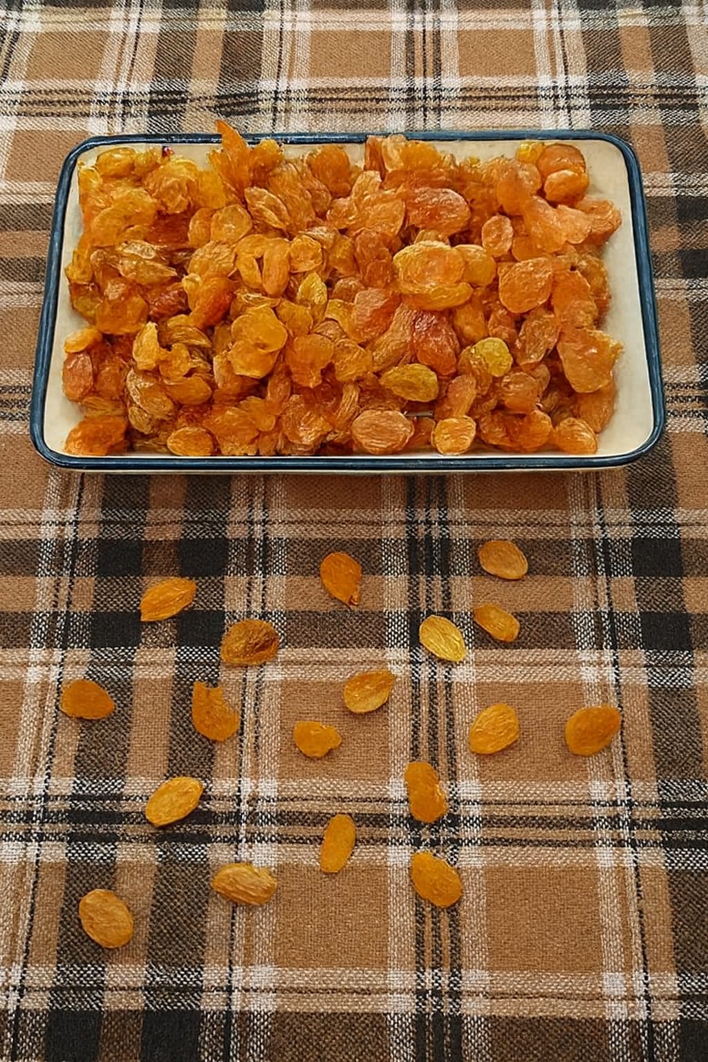 KURU ÜZÜM