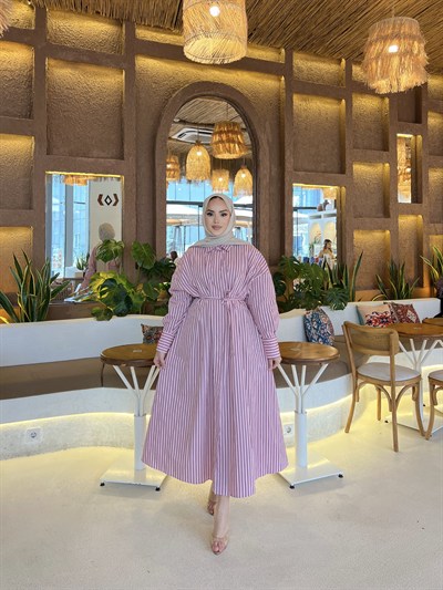 Çisem Çizgi Detay Elbise - Pembe