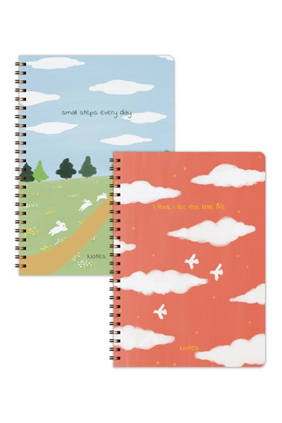 Matt Notebook A5 Spiralli Okul Defteri 80 yaprak 2'li Set – Çizgili & Kareli