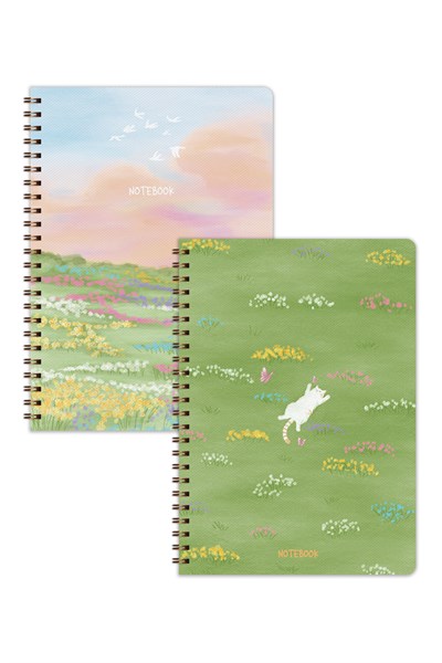 Matt Notebook A5 Spiralli Okul Defteri 80 yaprak 2'li Set – Çizgili & Kareli