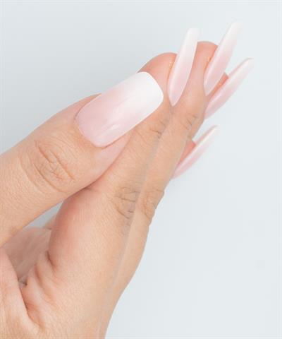 Silk Touch Protez Jel Takma Tırnak - El Yapımı Kalıcı Oje Nail Art Ombre - NC165