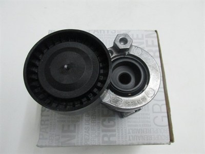 ALTERNATOR GERGI RULMANI CLIO IV-MEGANE IV-TALISMAN-JUKE-DOKKER-DUSTER-ASERI W176-BSERI W242-246 13- 