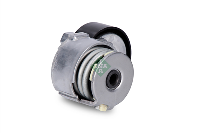 ALTERNATÖR GERGİ RULMANI KÜTÜKLÜ RENAULT CLIO II 1.5 05-10, KANGO 1.5 01 =>, MEGANE II 1.5 02-08 