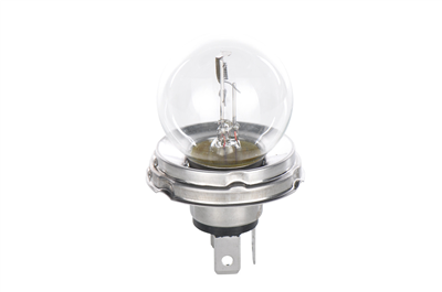 AMPUL TRUCKLIGHT 24V R2 55/50 W P45T TEKLİ SERVİS KUTUSU 