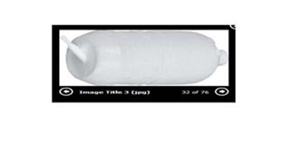 GENLEŞME KAVONOZU DİLLİ R9-R11 220