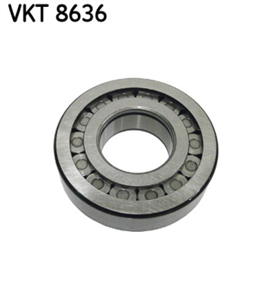 RULMAN SANZUMAN VOLVO 25X45X100 