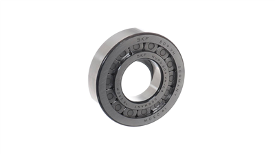 RULMAN SANZUMAN VOLVO 25X45X100 