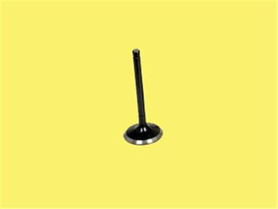 SUBAP EMME EGZOZ RENAULT MEGANE 96> CLIO 98> 1.4 LAGUNA 98> 1.6 16V K4M-K4J IN-8/EX-8 3613-41 / 3614-41 7700107489-7700107490