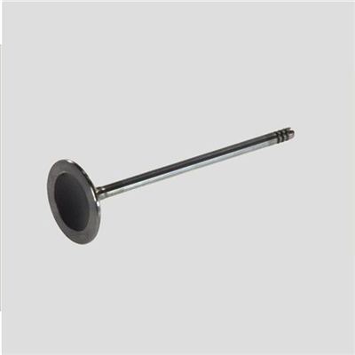 SUBAP TAKIMI 8 SUBAP-LPGYE UYUMLU FIAT PALIO 1.2 8V 05=> 5mm 