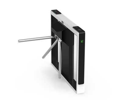 DS-Q10