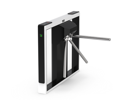 DS-Q10