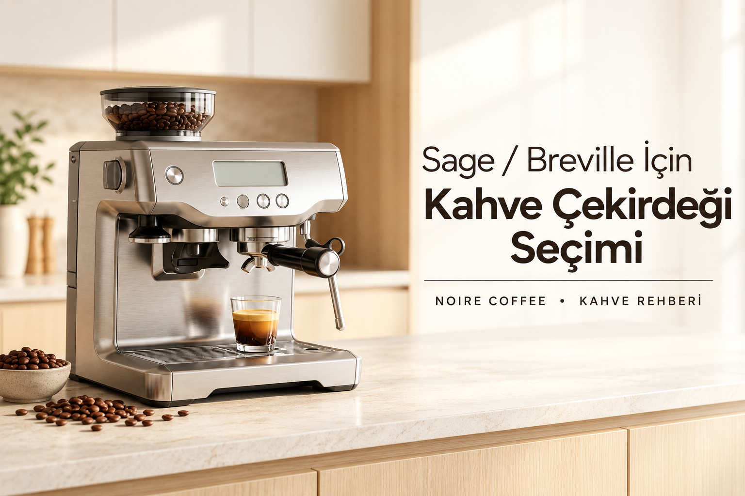 Sage Breville espresso makineleri için kahve çekirdeği seçim rehberi