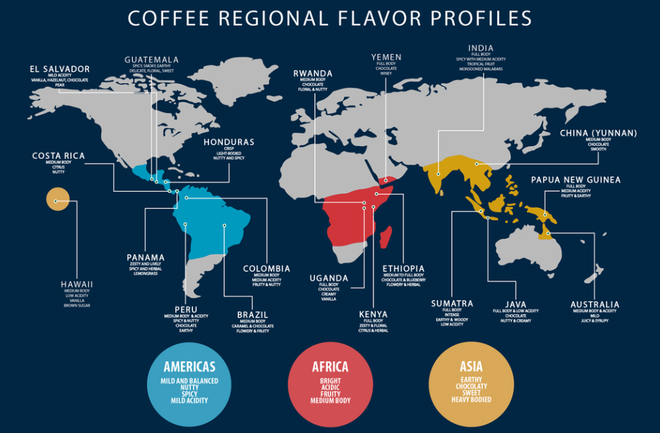 Single Origin Kahve – Tek menşeli premium Arabica çekirdekleri – Noire Coffee