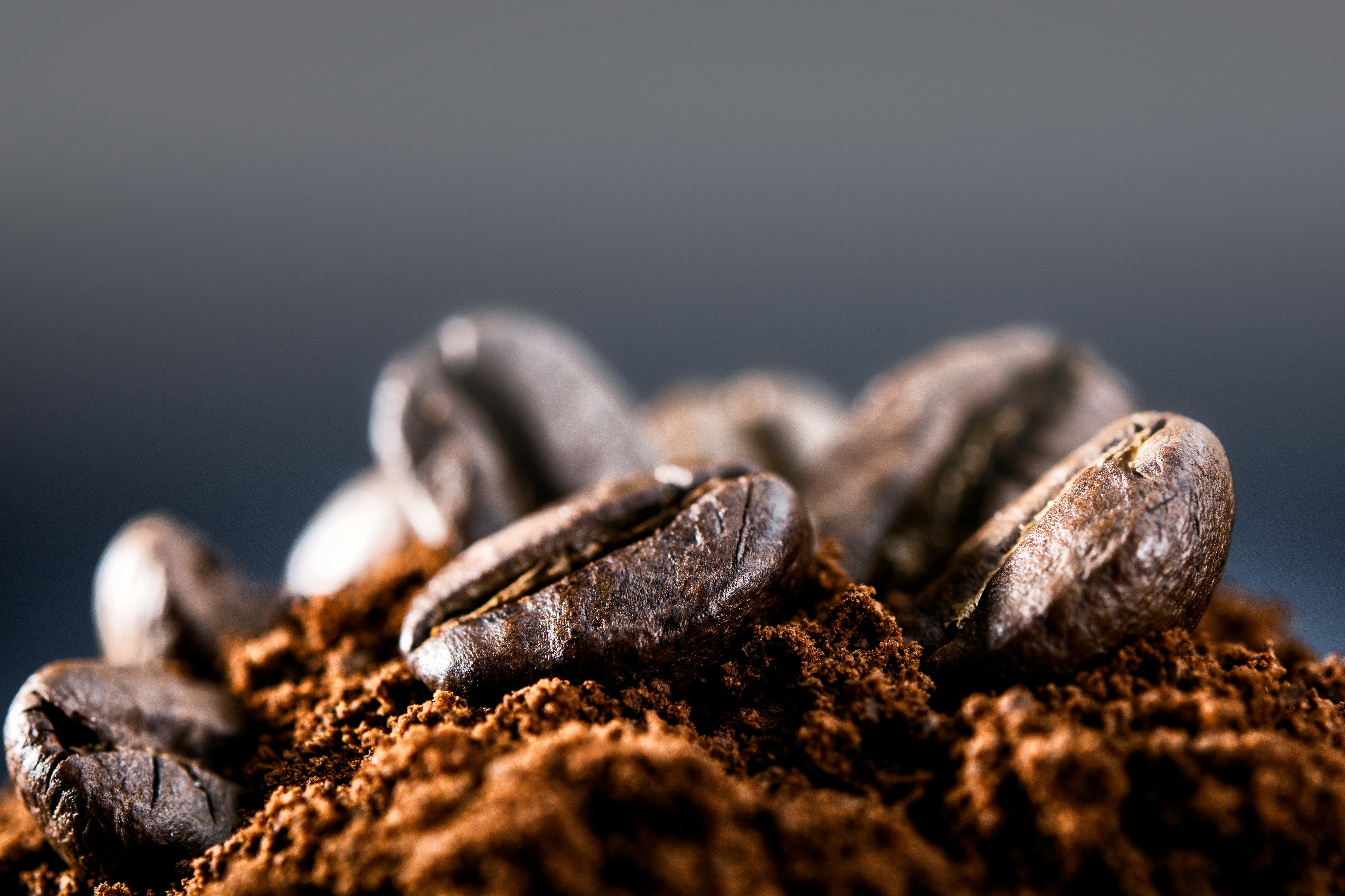 Single Origin ve Blend Kahve – Noire Coffee Premium Kahve Deneyimi