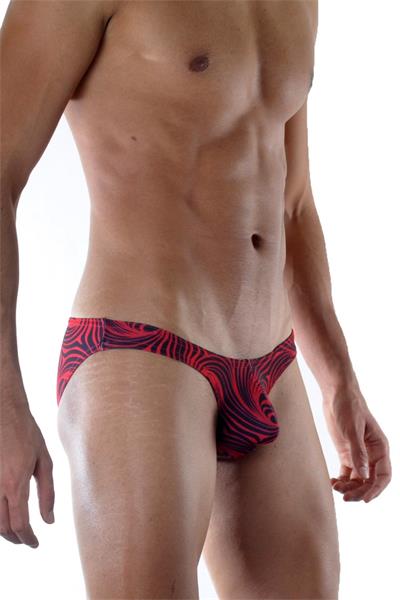Erkek Kırmızı Fantezi Giyim Desenli Slip HF021806 