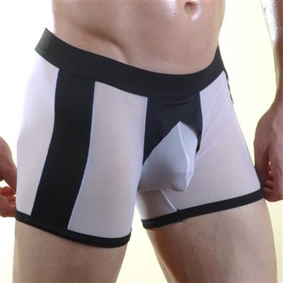 Erkek Beyaz Fantezi Giyim Transparan Boxer HF071028 