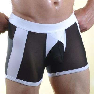 Erkek Çok Renkli Fantezi Giyim Transparan Boxer HF071032 