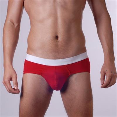 Erkek Kırmızı Fantezi Giyim Slip HF140502 