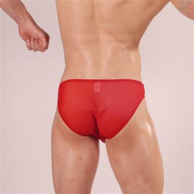 Erkek Kırmızı Fantezi Giyim Slip HF140521 