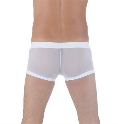Erkek Beyaz Fantezi Giyim Ekose Desenli Transparan Boxer HF291125 