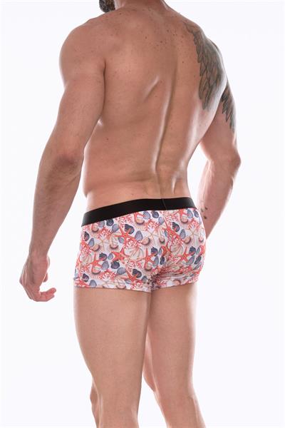 Erkek Çok Renkli Fantezi Giyim Desenli Boxer HF072212 