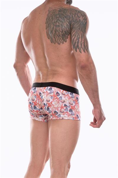 Erkek Çok Renkli Fantezi Giyim Desenli Boxer HF072212 