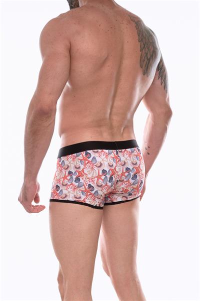 Erkek Çok Renkli Fantezi Giyim Desenli Boxer HF072204 