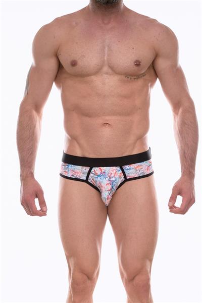 Erkek Çok Renkli Fantezi Giyim Desenli Slip HF072217 