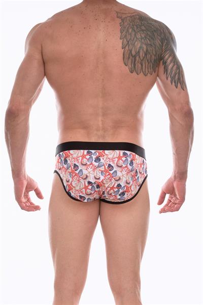 Erkek Çok Renkli Fantezi Giyim Desenli Slip HF072218 