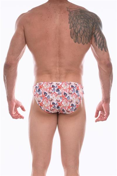 Erkek Çok Renkli Fantezi Giyim Desenli Slip HF072260 
