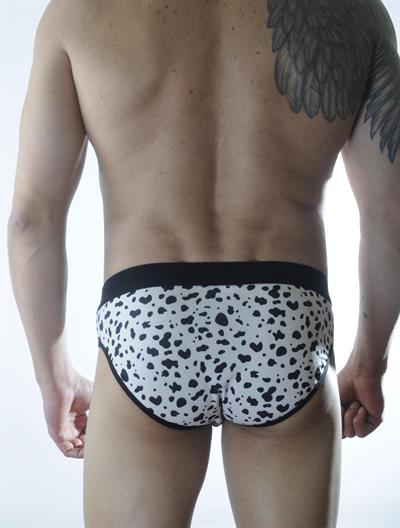 Erkek Çok Renkli Fantezi Giyim Desenli Slip HF301119 