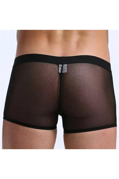 Siyah Fantezi Giyim Transparan Erkek Boxer HF4603 