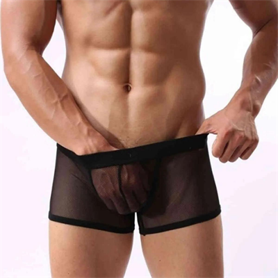 Siyah Fantezi Giyim Transparan Erkek Boxer HF4603 