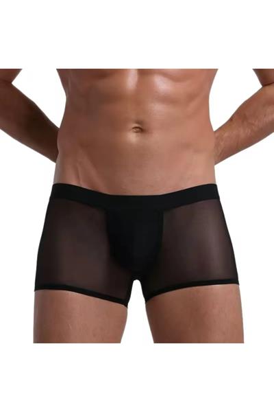 Siyah Fantezi Giyim Transparan Erkek Boxer HF4603 