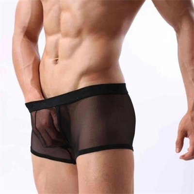 Siyah Fantezi Giyim Transparan Erkek Boxer HF4603 