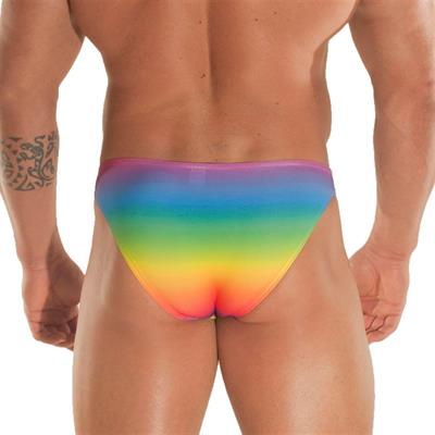 Erkek Çok Renkli Fantezi Giyim Gökkuşağı Desenli Slip HF031663 
