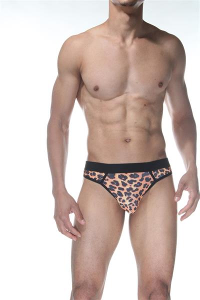 Erkek Çok Renkli Fantezi Giyim Leopar Desenli Tanga HF102156 