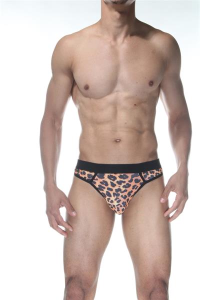 Erkek Çok Renkli Fantezi Giyim Leopar Desenli Tanga HF102156 