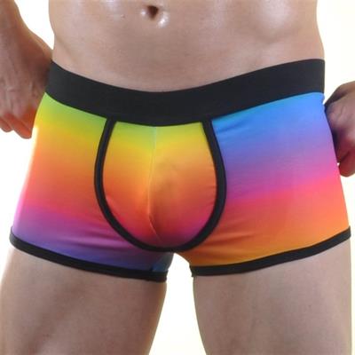 Erkek Çok Renkli Fantezi Giyim Gökkuşağı Desenli Boxer HF071053 