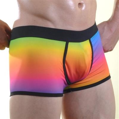 Erkek Çok Renkli Fantezi Giyim Gökkuşağı Desenli Boxer HF071053 