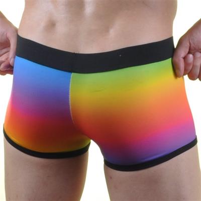 Erkek Çok Renkli Fantezi Giyim Gökkuşağı Desenli Boxer HF071053 