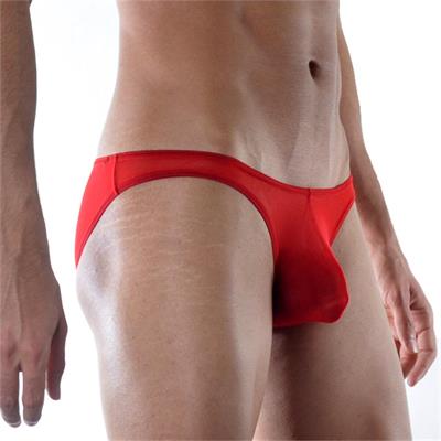 Erkek Kırmızı Fantezi Giyim Transparan Slip HF111890 