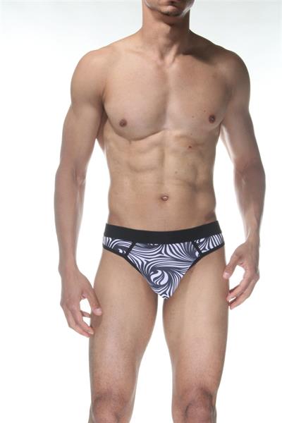 Erkek Çok Renkli Fantezi Giyim Zebra Desenli Tanga HF102155 