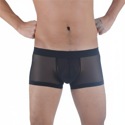 Erkek Siyah Fantezi Giyim Transparan Boxer HF291137 