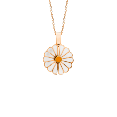 Daisy Kolye 718923