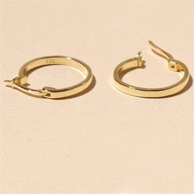 Halka Gümüş Küpe 718872 Gold