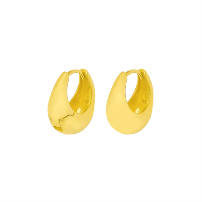 Kalın Halka Küpe 717042 Gold