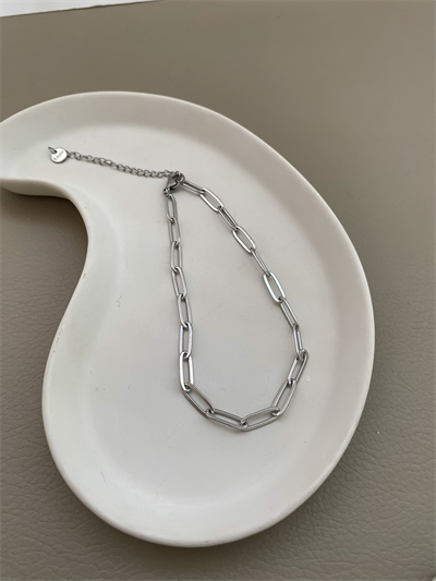 Çelik İç İçe Geçmeli Oval Halka Plaka Halhal (27 Cm)