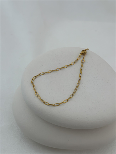 Çelik İç İçe Geçmeli Oval Plaka Zincir Halhal (27cm)