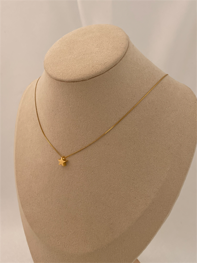 Çelik Zincirde Yıldız Figür Kolye (48 Cm)